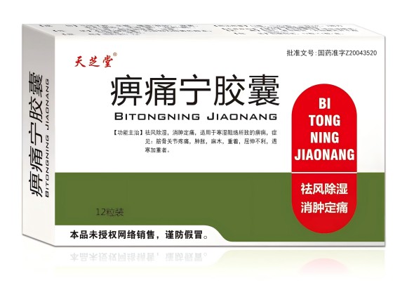 痹痛宁胶囊 痹痛宁胶囊