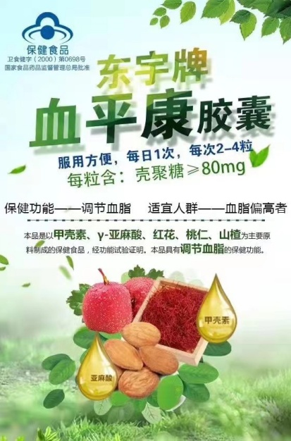 东宇牌血平康胶囊 东宇牌血平康胶囊