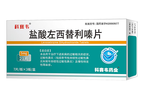 �������������Ƭ