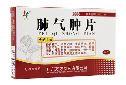 ������Ƭ